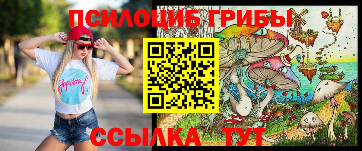 Галлюциногенные грибы прущие грибы  Вход с VPN  где можно купить наркотик  Щёкино 